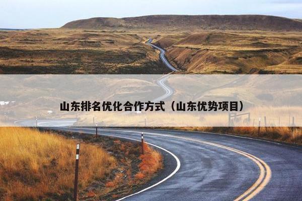 山东排名优化合作方式（山东优势项目）