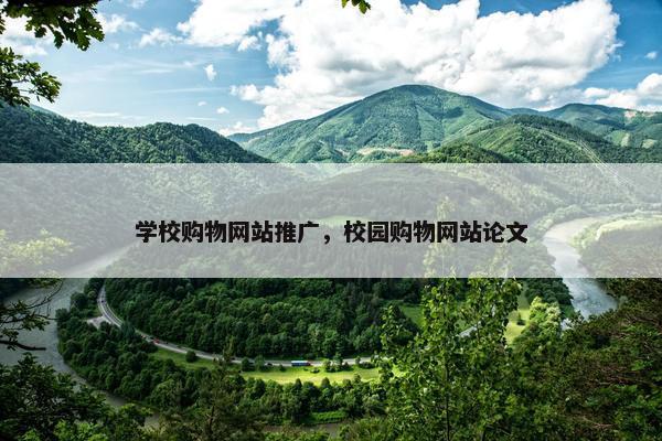 学校购物网站推广，校园购物网站论文