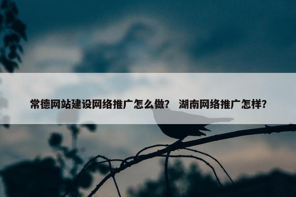 常德网站建设网络推广怎么做？ 湖南网络推广怎样？