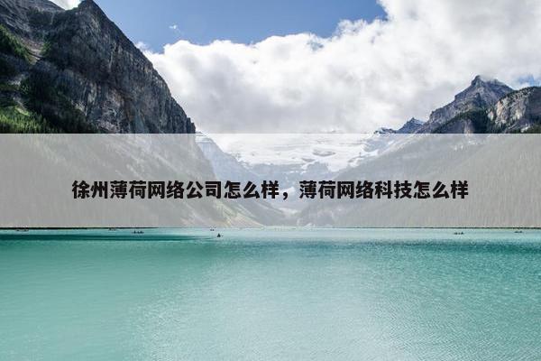徐州薄荷网络公司怎么样，薄荷网络科技怎么样