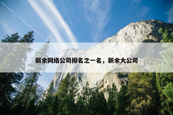 新余网络公司排名之一名，新余大公司