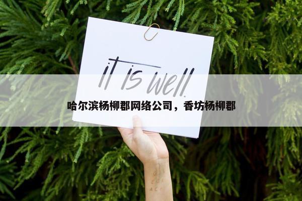 哈尔滨杨柳郡网络公司，香坊杨柳郡