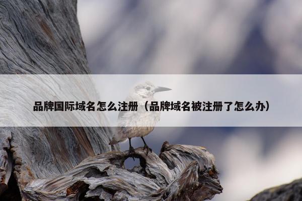 品牌国际域名怎么注册（品牌域名被注册了怎么办）