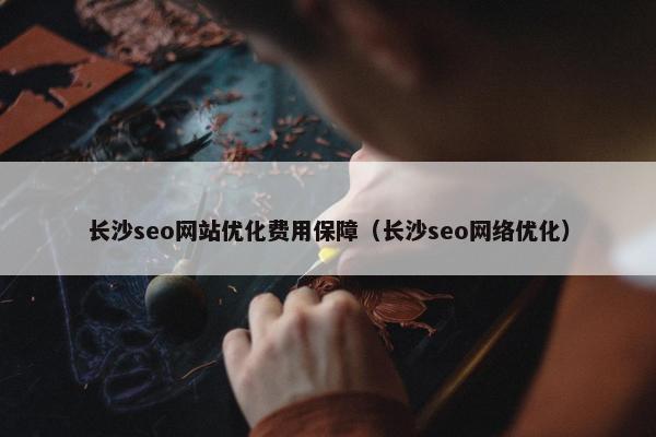 长沙seo网站优化费用保障（长沙seo网络优化）
