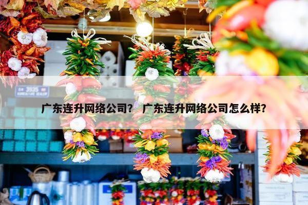 广东连升网络公司？ 广东连升网络公司怎么样？