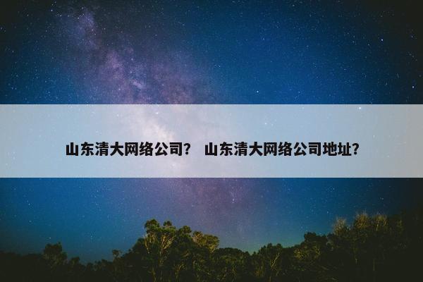 山东清大网络公司？ 山东清大网络公司地址？