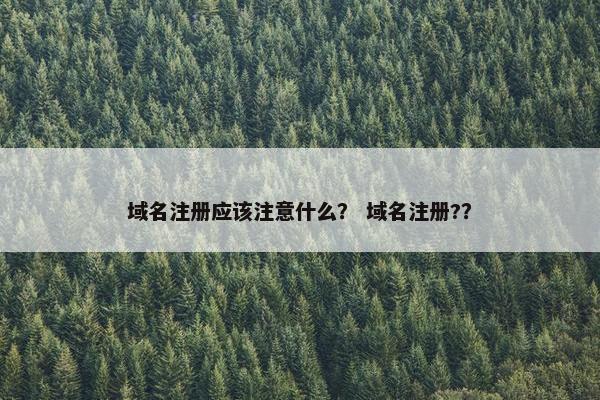 域名注册应该注意什么？ 域名注册?？