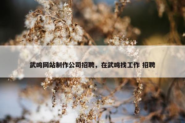 武鸣网站制作公司招聘，在武鸣找工作 招聘