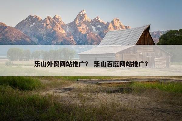 乐山外贸网站推广？ 乐山百度网站推广？