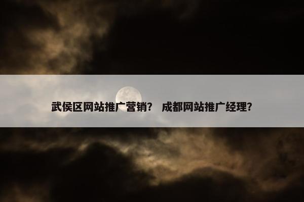 武侯区网站推广营销？ 成都网站推广经理？