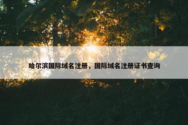 哈尔滨国际域名注册，国际域名注册证书查询