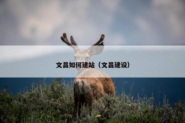 文昌如何建站（文昌建设）
