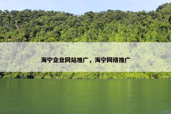 海宁企业网站推广，海宁网络推广