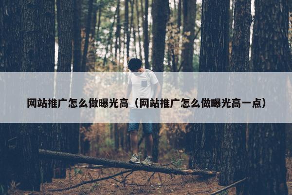 网站推广怎么做曝光高（网站推广怎么做曝光高一点）