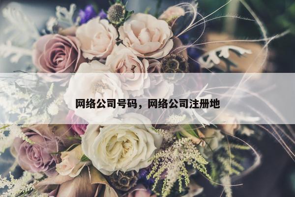 网络公司号码，网络公司注册地
