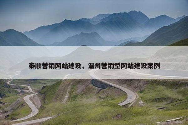 泰顺营销网站建设，温州营销型网站建设案例