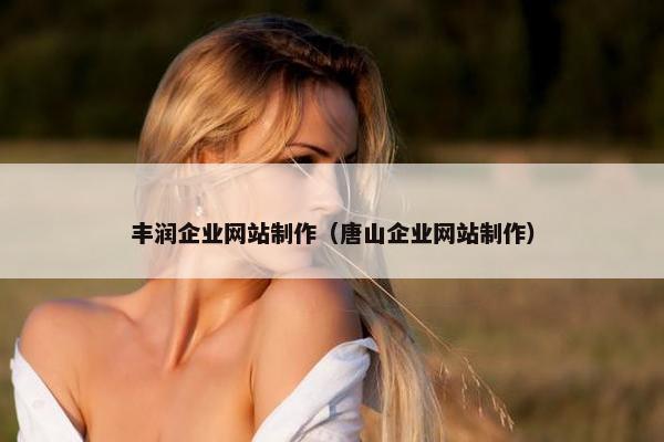 丰润企业网站制作（唐山企业网站制作）