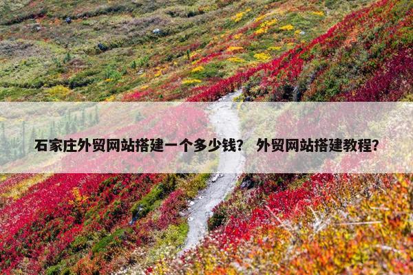 石家庄外贸网站搭建一个多少钱？ 外贸网站搭建教程？