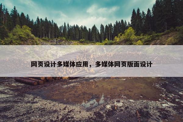 网页设计多媒体应用，多媒体网页版面设计