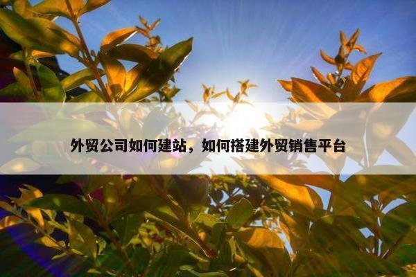 外贸公司如何建站，如何搭建外贸销售平台