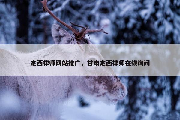 定西律师网站推广，甘肃定西律师在线询问