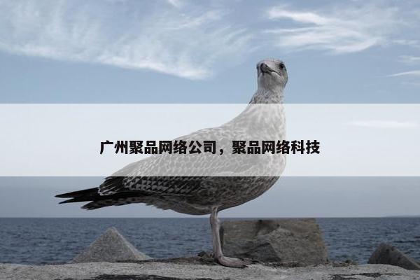 广州聚品网络公司，聚品网络科技