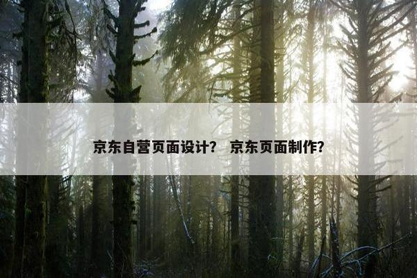 京东自营页面设计？ 京东页面制作？