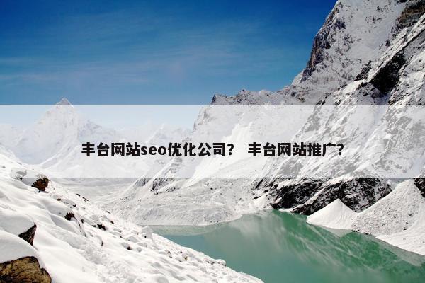 丰台网站seo优化公司？ 丰台网站推广？