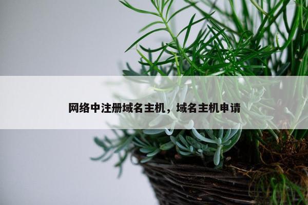 网络中注册域名主机，域名主机申请