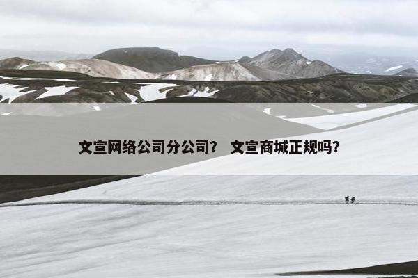 文宣网络公司分公司？ 文宣商城正规吗？