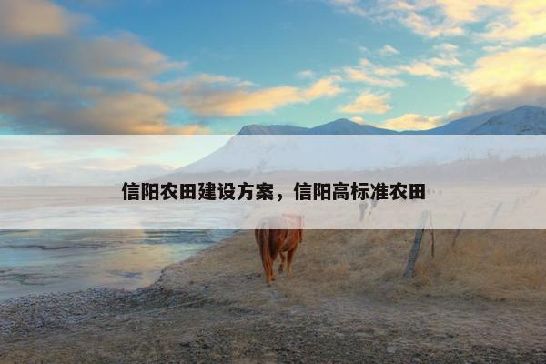 信阳农田建设方案，信阳高标准农田