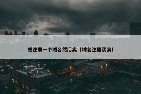 想注册一个域名然后卖（域名注册买卖）