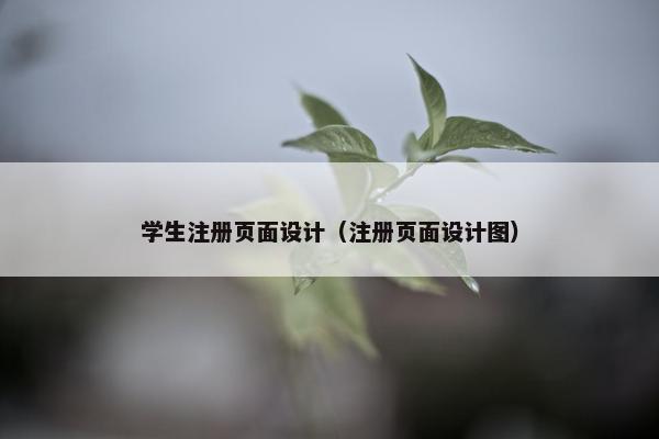 学生注册页面设计（注册页面设计图）