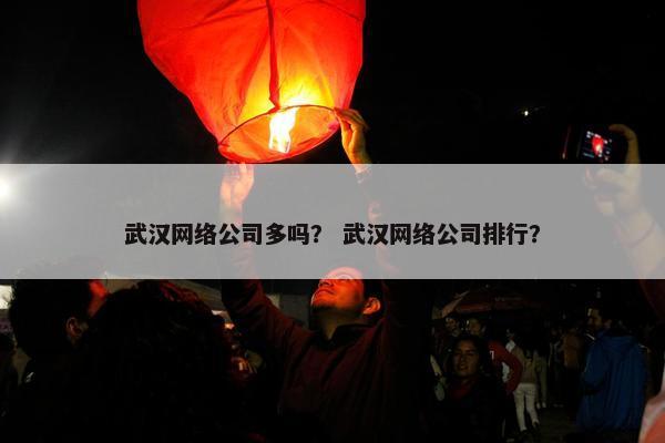 武汉网络公司多吗？ 武汉网络公司排行？