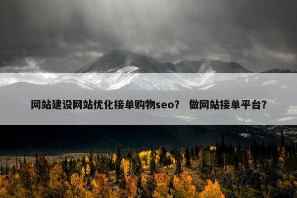 网站建设网站优化接单购物seo？ 做网站接单平台？
