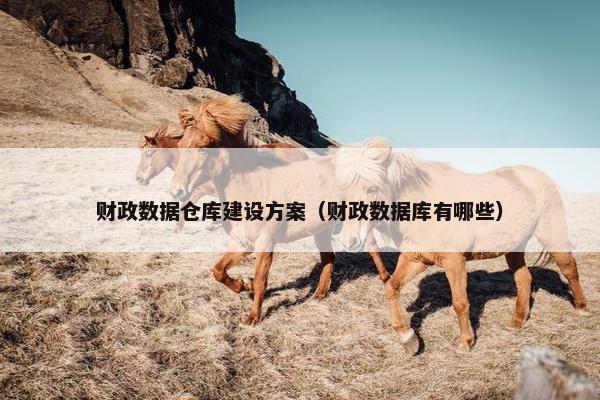 财政数据仓库建设方案（财政数据库有哪些）