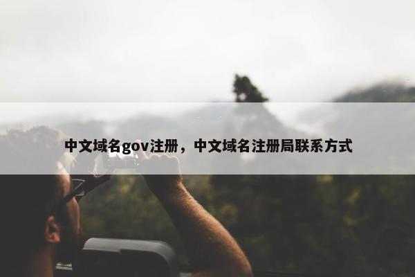 中文域名gov注册，中文域名注册局联系方式