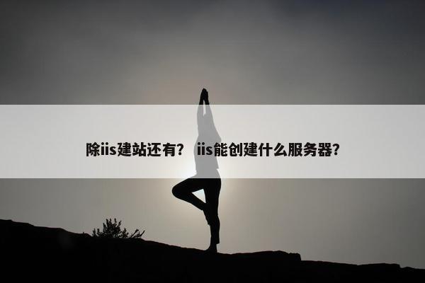 除iis建站还有？ iis能创建什么服务器？