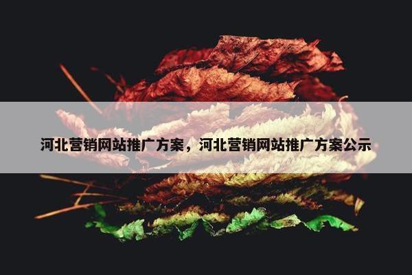 河北营销网站推广方案，河北营销网站推广方案公示