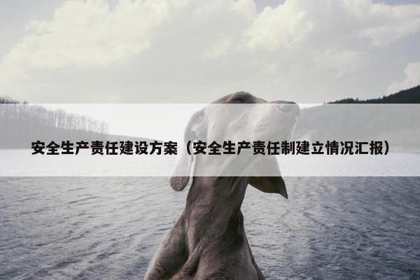 安全生产责任建设方案（安全生产责任制建立情况汇报）