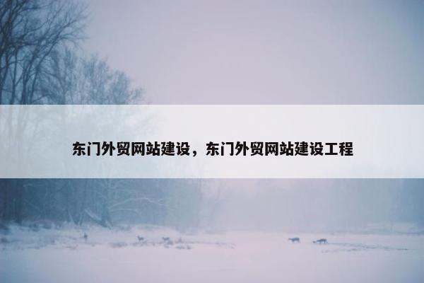 东门外贸网站建设，东门外贸网站建设工程