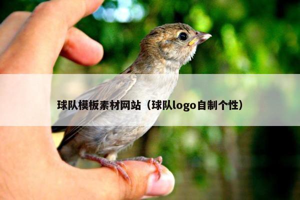 球队模板素材网站（球队logo自制个性）