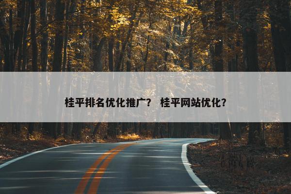 桂平排名优化推广？ 桂平网站优化？