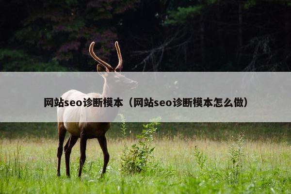 网站seo诊断模本（网站seo诊断模本怎么做）