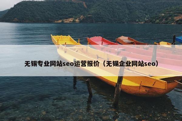 无锡专业网站seo运营报价（无锡企业网站seo）