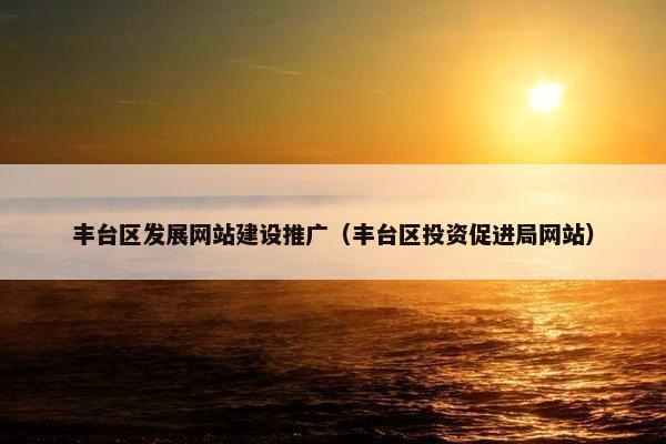 丰台区发展网站建设推广（丰台区投资促进局网站）