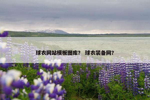 球衣网站模板图库？ 球衣装备网？