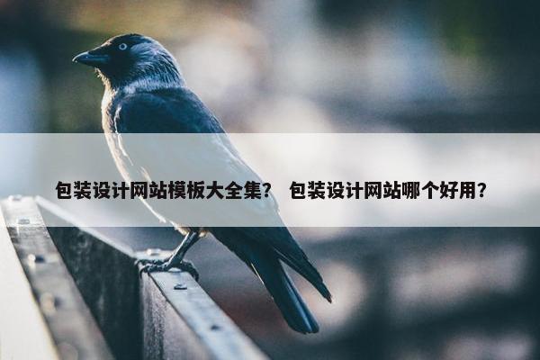 包装设计网站模板大全集？ 包装设计网站哪个好用？