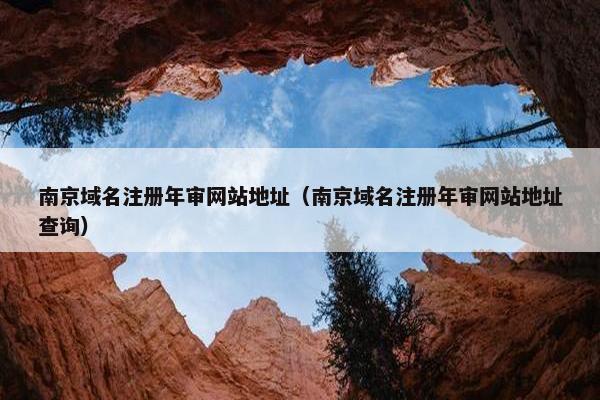南京域名注册年审网站地址（南京域名注册年审网站地址查询）