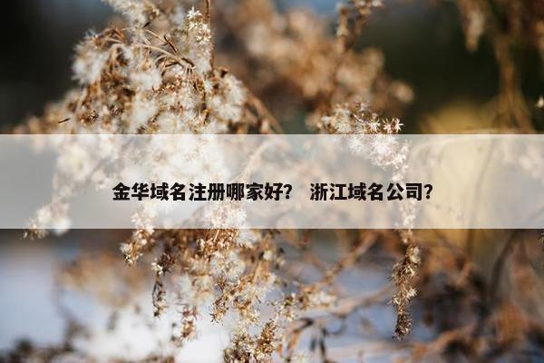 金华域名注册哪家好？ 浙江域名公司？